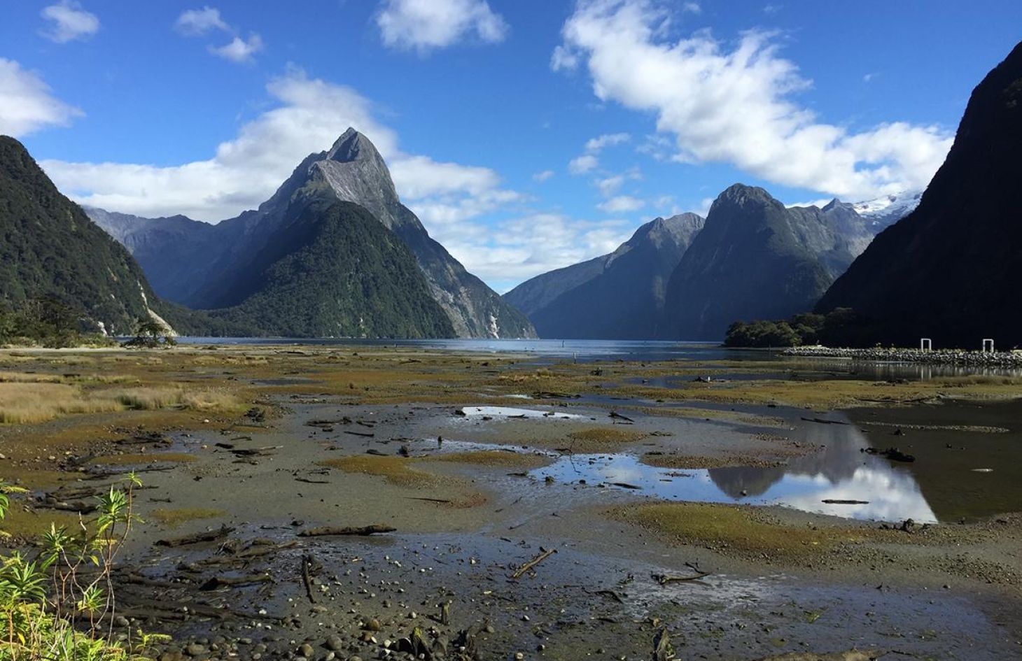 Air Safaris | Milford Sound Scenic Flights | Sightseeing Excursions